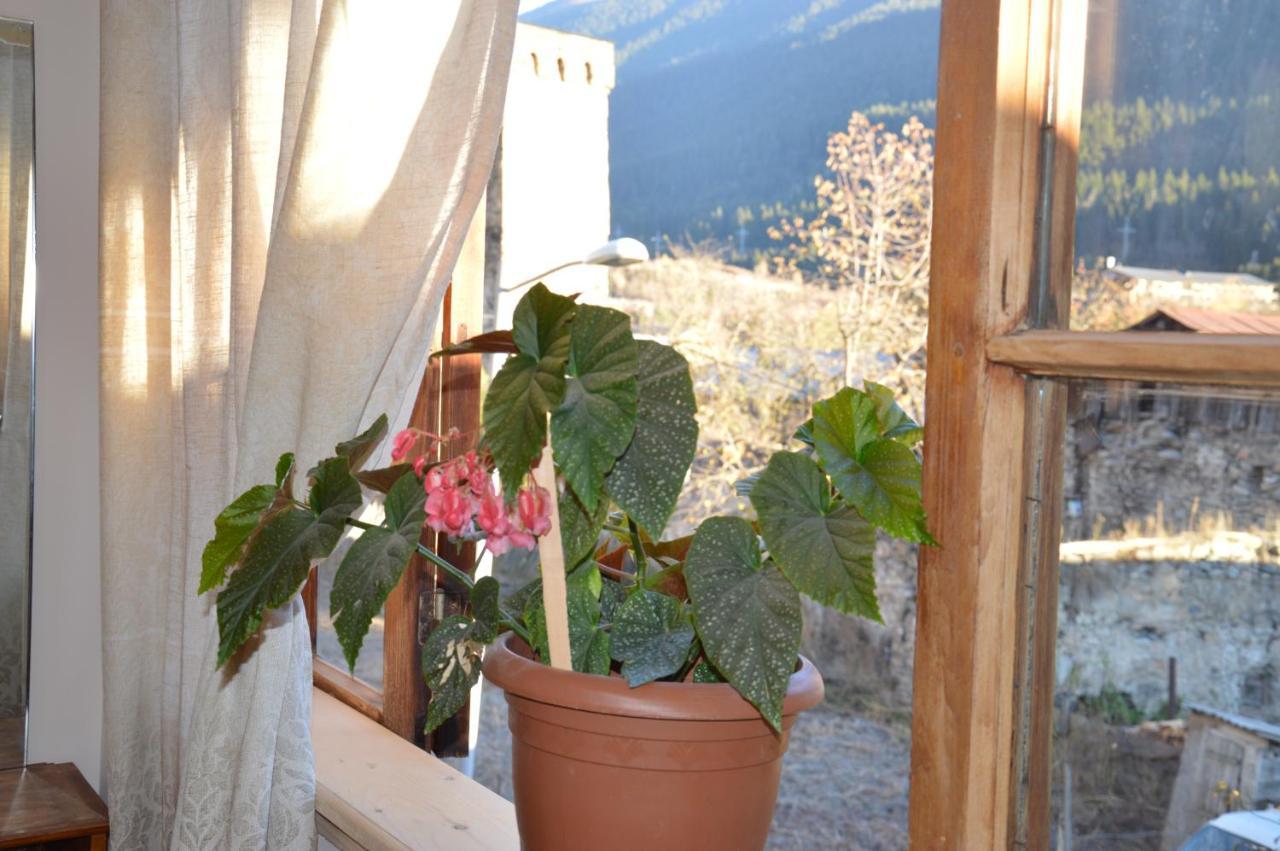 Ailama Guesthouse Mestia Eksteriør bilde